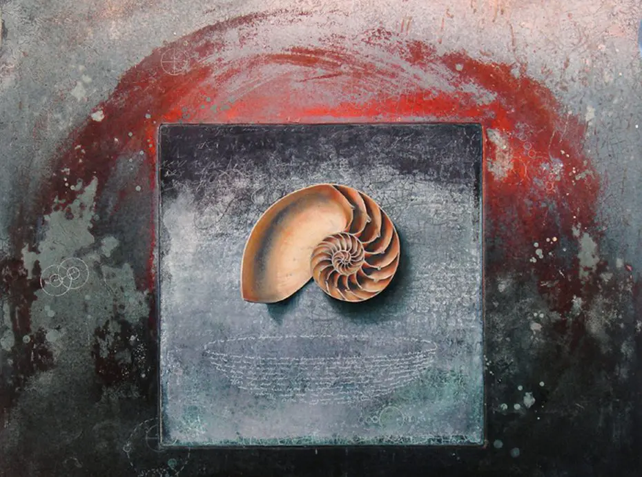 A picture of an ammonite shell on the wall.