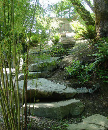 A garden with many steps and plants