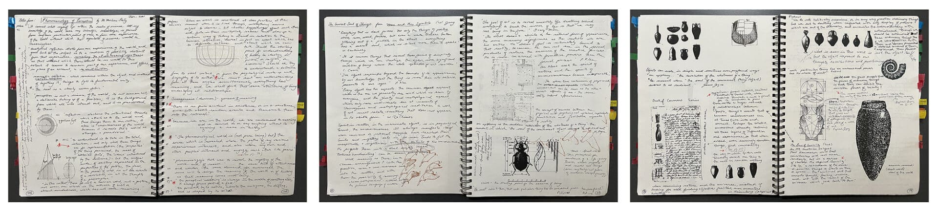 A notebook with handwritten notes and drawings of bugs.