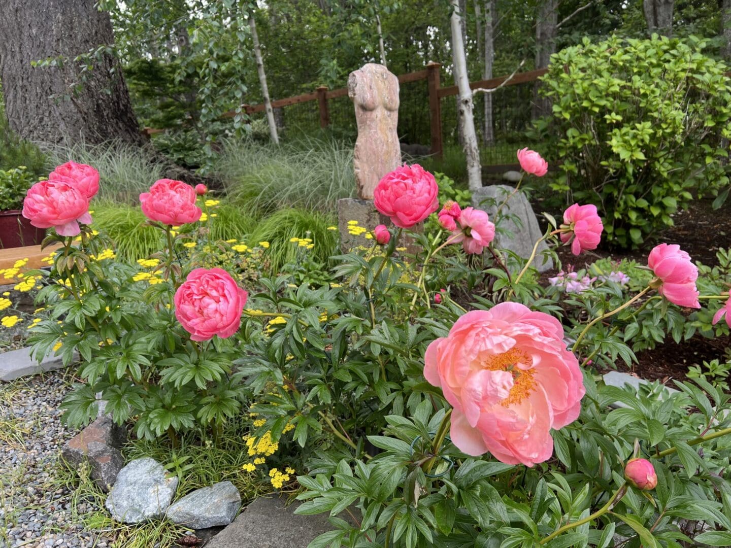 A garden with pink flowers and green plants.