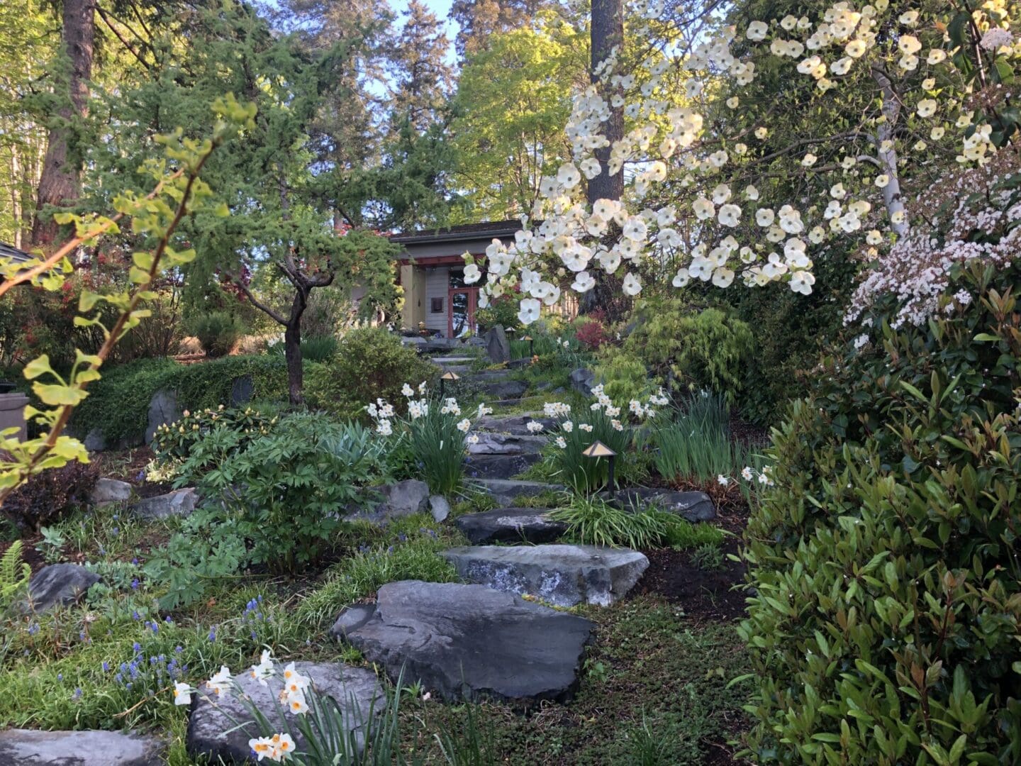 A garden with many flowers and trees