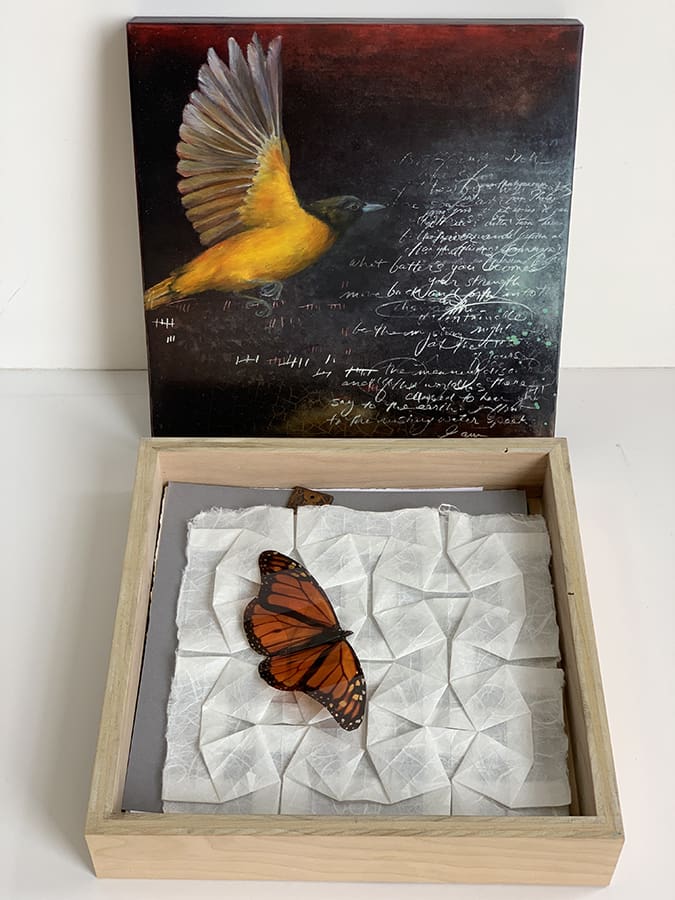 A butterfly is sitting on some paper in a box