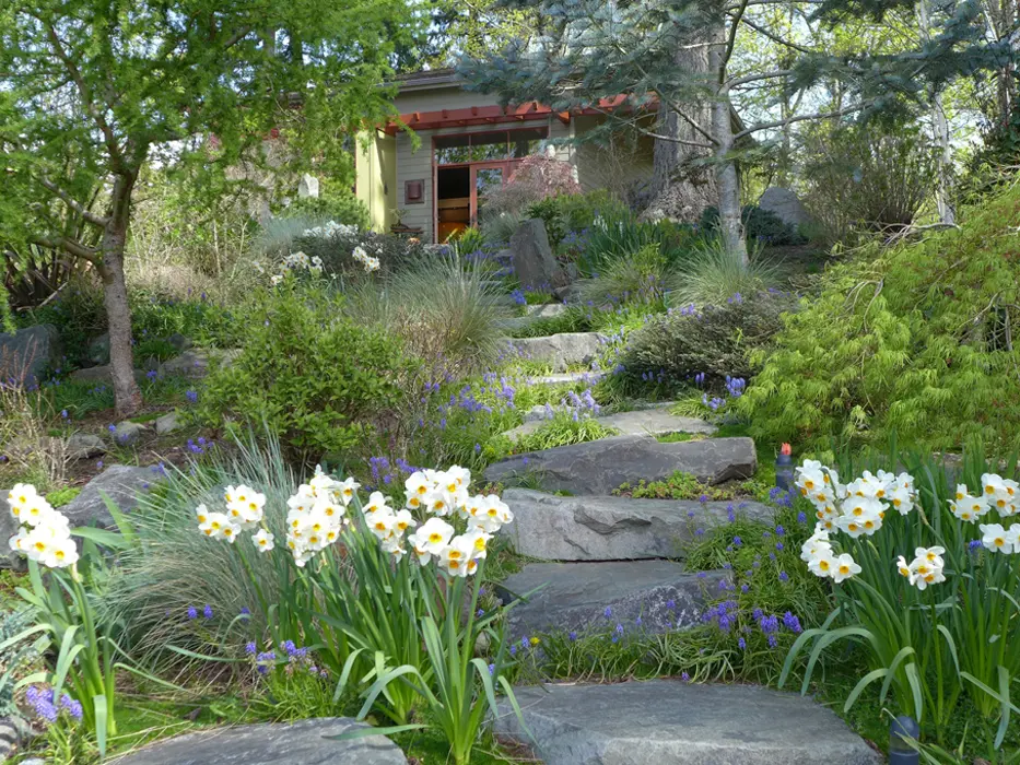 A garden with flowers and rocks in the foreground.