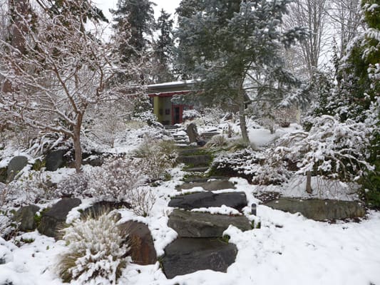 A snowy garden with rocks and trees